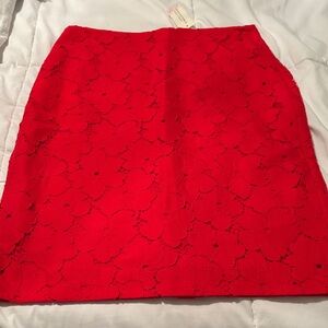 Banana Republic Factory Lace Skirt